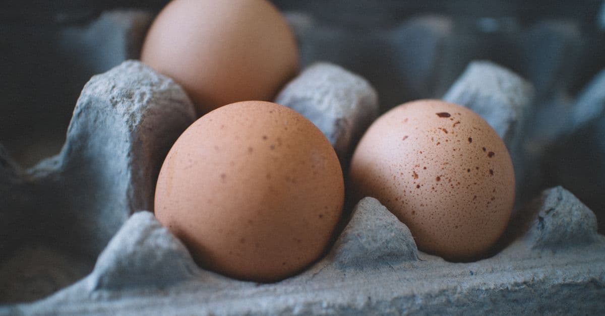 B vitamīnu avoti: olas un dzīvnieku produkti