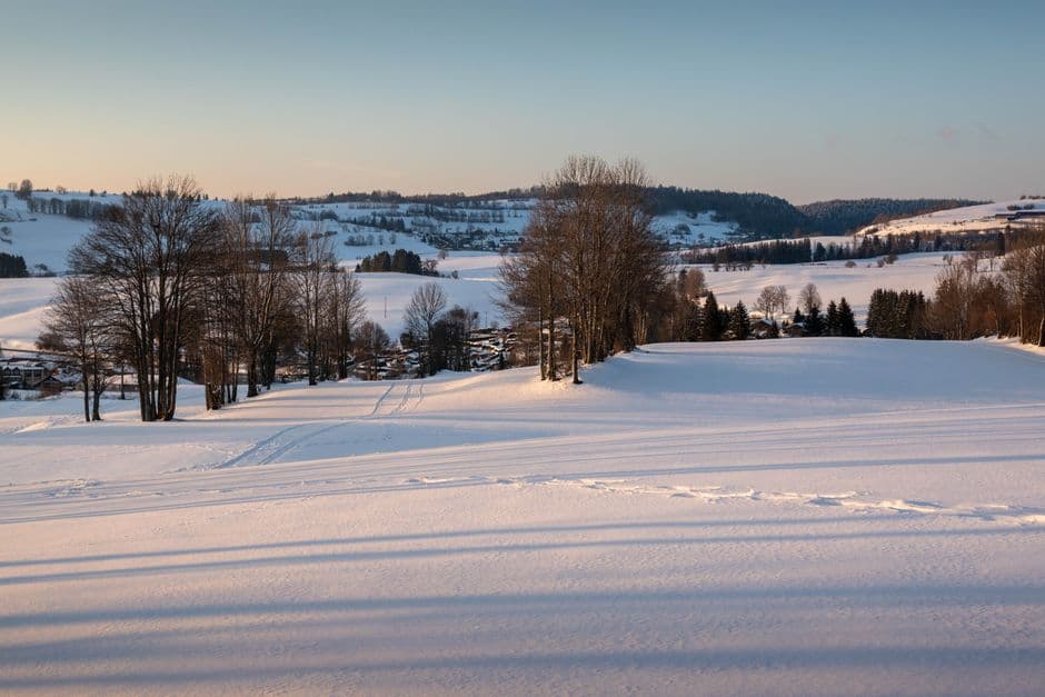 Zema ziemas saule virs sniegota lauka